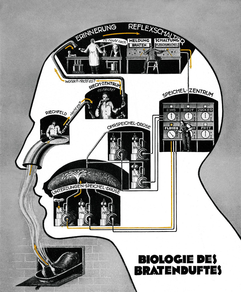 Illustration for article titled Fritz Kahn's Whimsical Infographics Turn People Into Contraptions